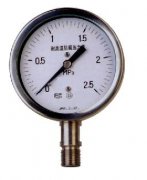 YT Series Special Pressure Gauge