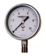 YE-100B Stainless Diaphragm Pressure Gauge