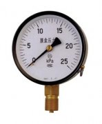 YE-100、150 Series Diaphragm Pressure Gauge